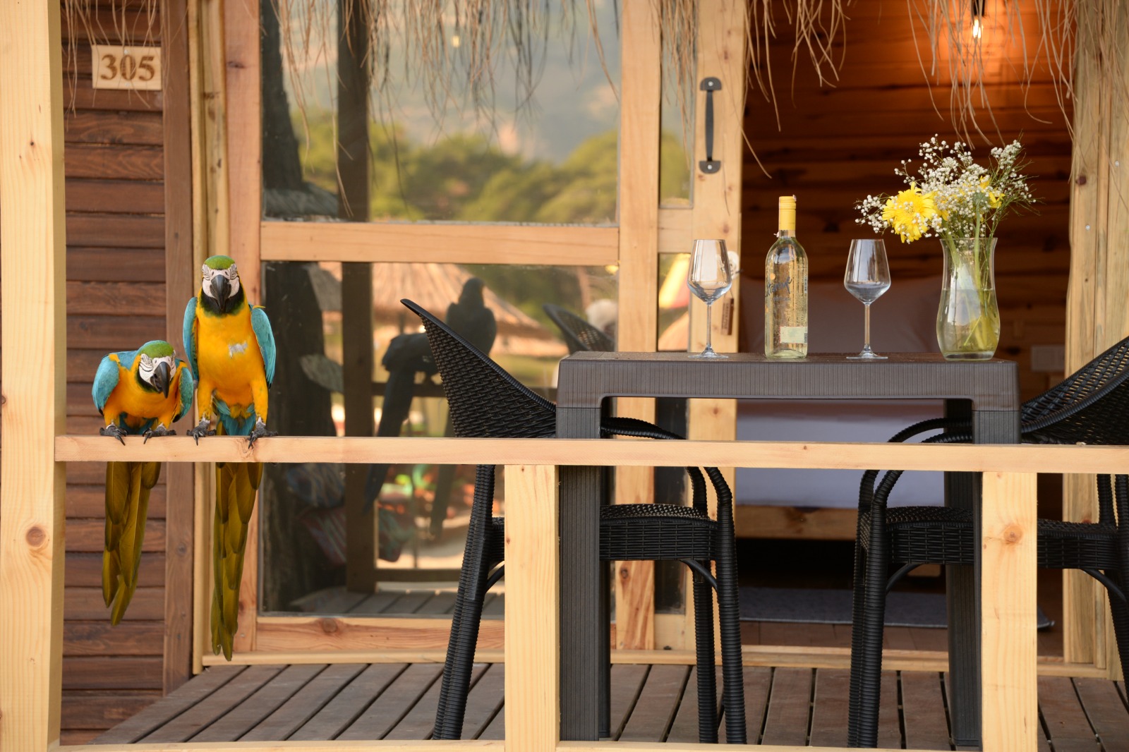 Green Pine Beach Hotel - Tropik atmosfer