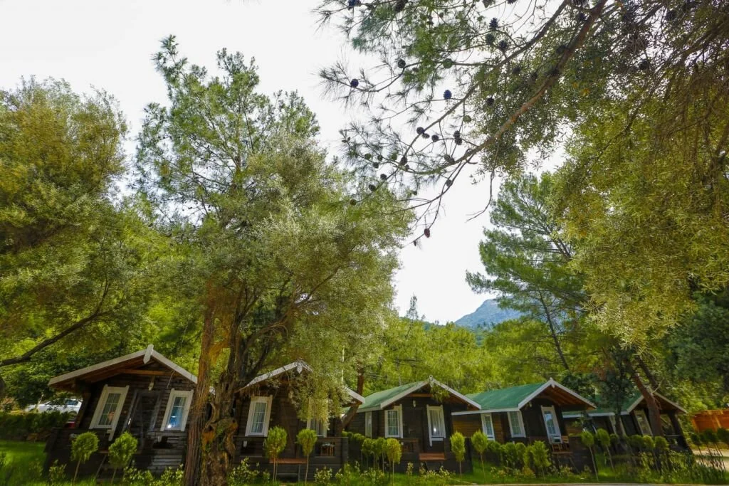 Natural Large Oda manzara