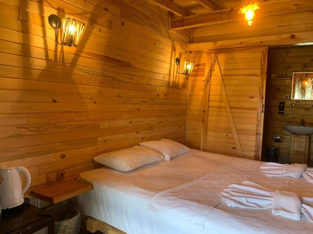 Tree House Oda iç mekan